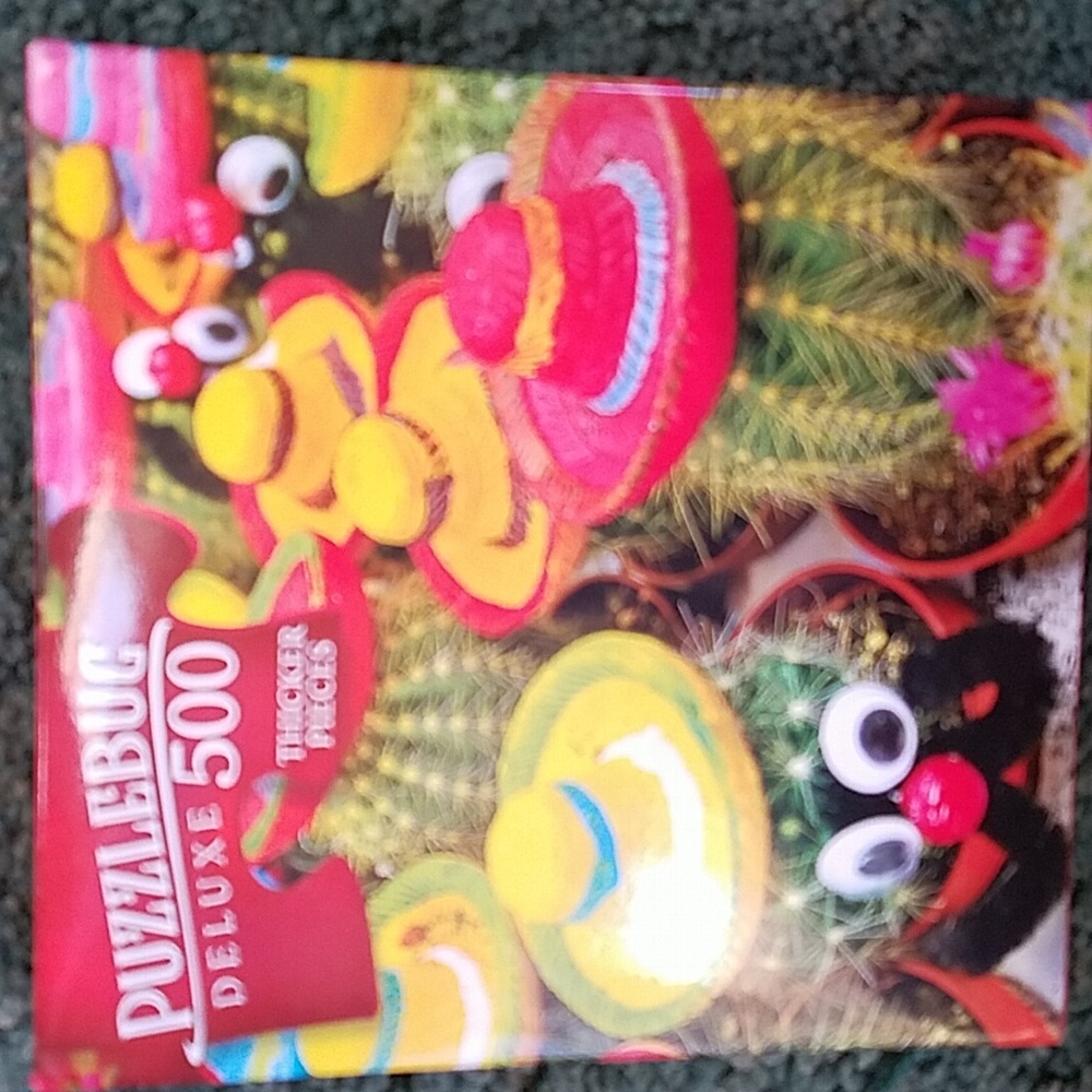 Cute and Funny Cacti